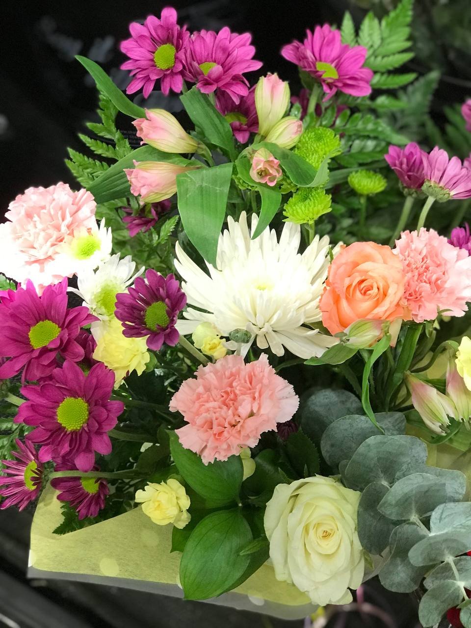 photo_2025-06-18_16-48-46